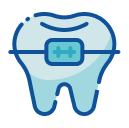 braces